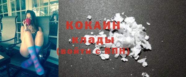 индика Володарск