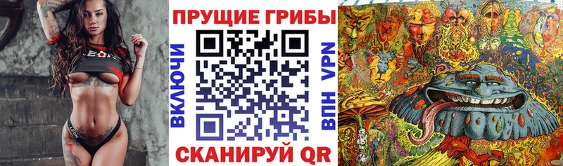 Галлюциногенные грибы Cubensis  Зарайск 